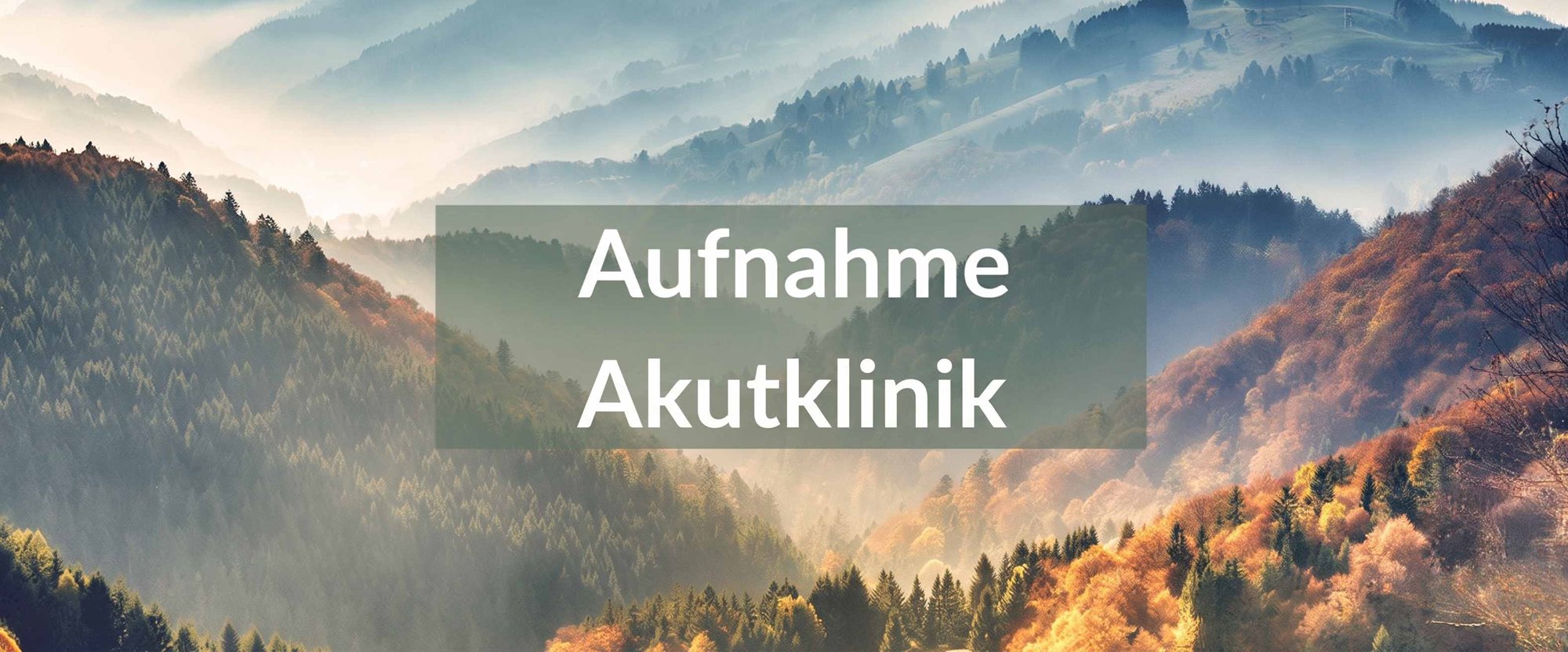 Psychosomatische Klinik – Akutbehandlung und Reha im Vergleich